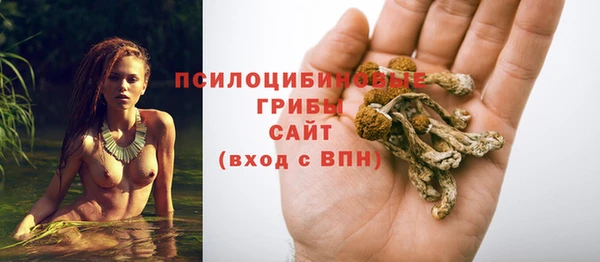 сатива Иннополис