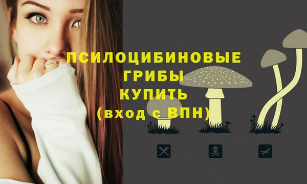 стафф Инта