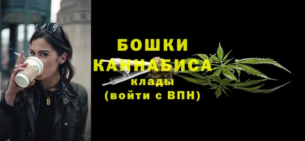spice Зеленодольск
