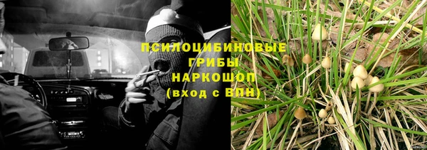 стафф Инта