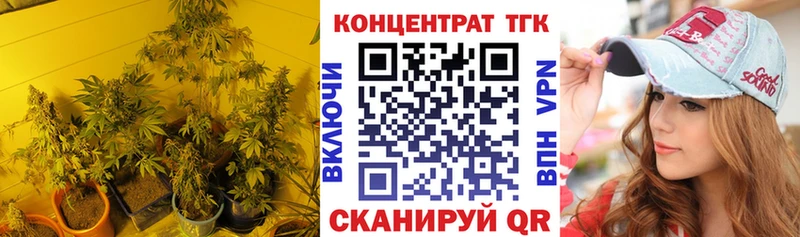 Купить  Курчалой  ТГК гашишное масло 