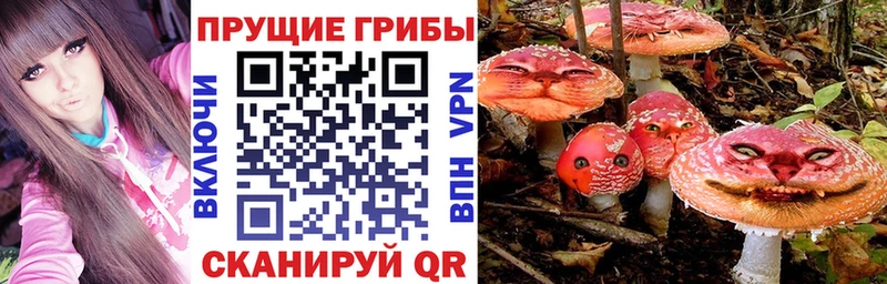Купить закладки  Курчалой  Псилоцибиновые грибы Psilocybine cubensis 